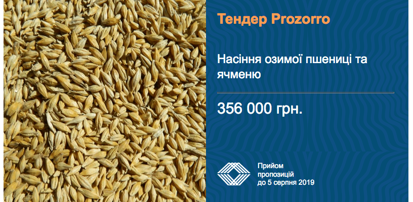 тендер насіння пшениці