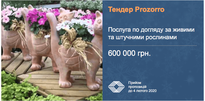 тендер догляд за квітами